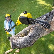 Best Lawn Pest Prevention  in Little Silver, NJ