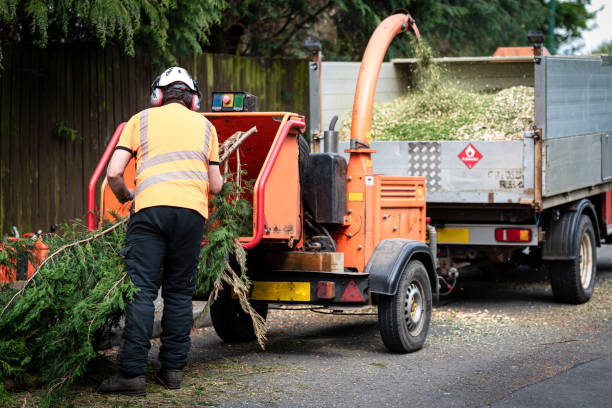 Best Lawn Irrigation Installation and Maintenance  in Little Silver, NJ