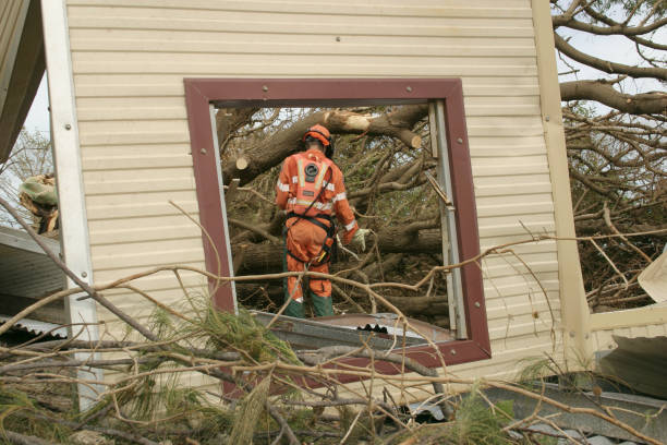 Best Tree Removal  in Little Silver, NJ