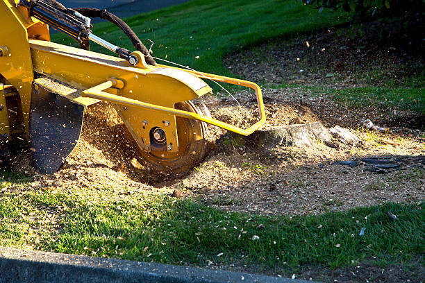 Lawn Grading and Leveling in Little Silver, NJ