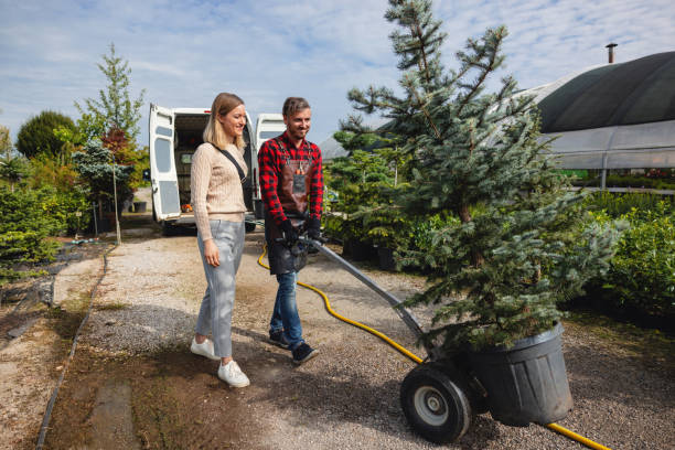 Best Root Management and Removal  in Little Silver, NJ